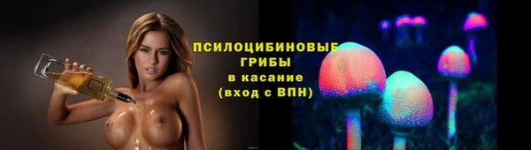 ECSTASY Армянск